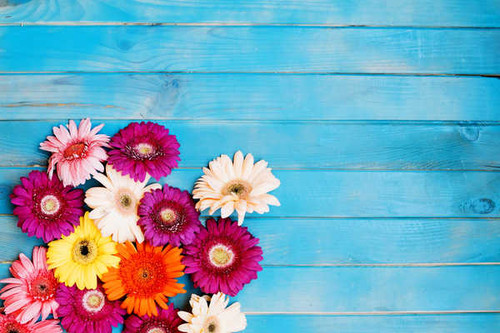 Jual Poster Gerberas Wood planks WPS 001